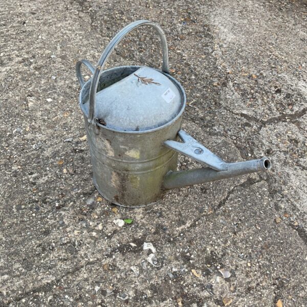 Vintage metal watering can for garden use and display.
