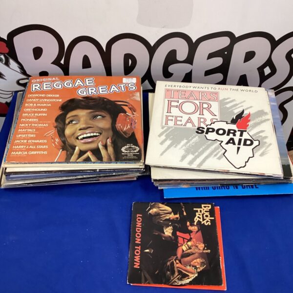 Mixed vinyl record collection including Tears for Fears and reggae.