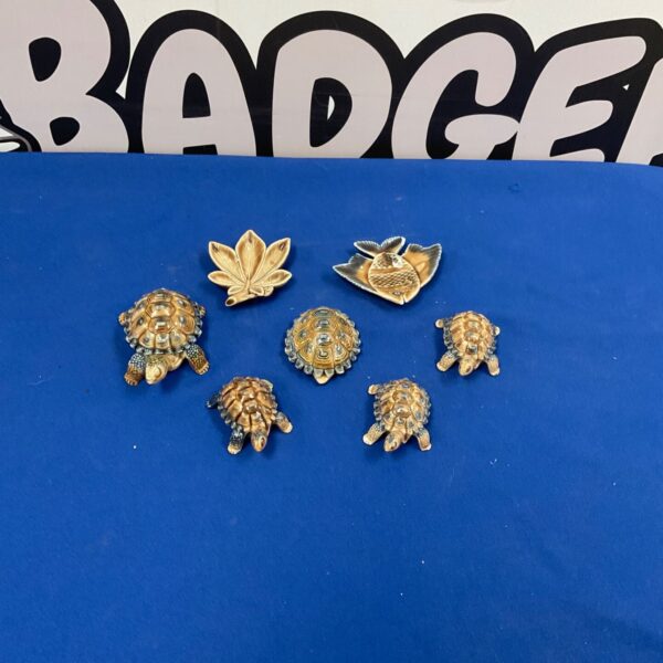 Vintage Wade porcelain turtle figurines in a collectible lot.