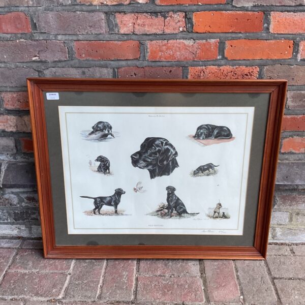 Alan Ellison limited edition print of Labrador dogs.