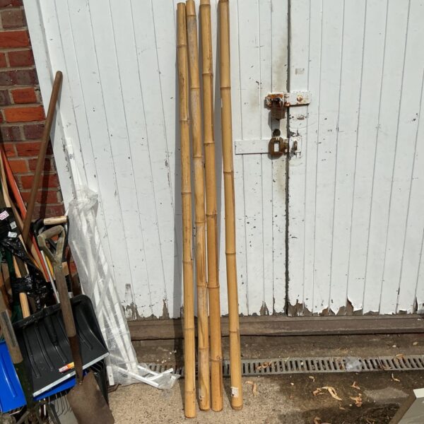 Four natural bamboo posts leaning against a white wall.