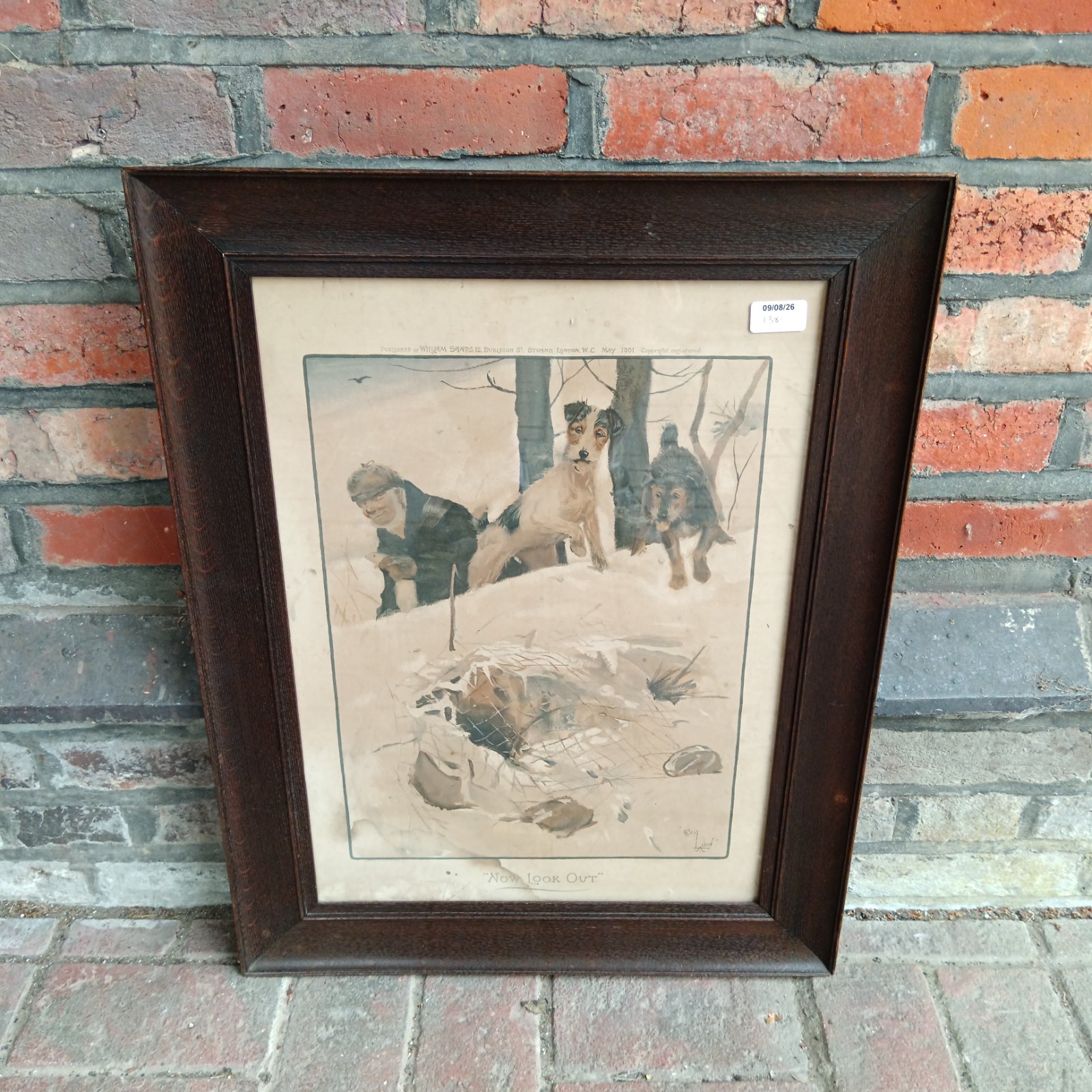 Cecil Aldin "Now Look Out" lithograph, a humorous 1901 dog print.