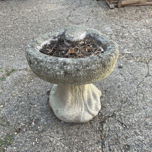 Weathered concrete bird bath in a garden setting.