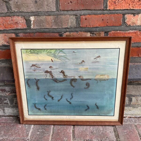 Vintage Enid Blyton "The Babies" print featuring baby animals.