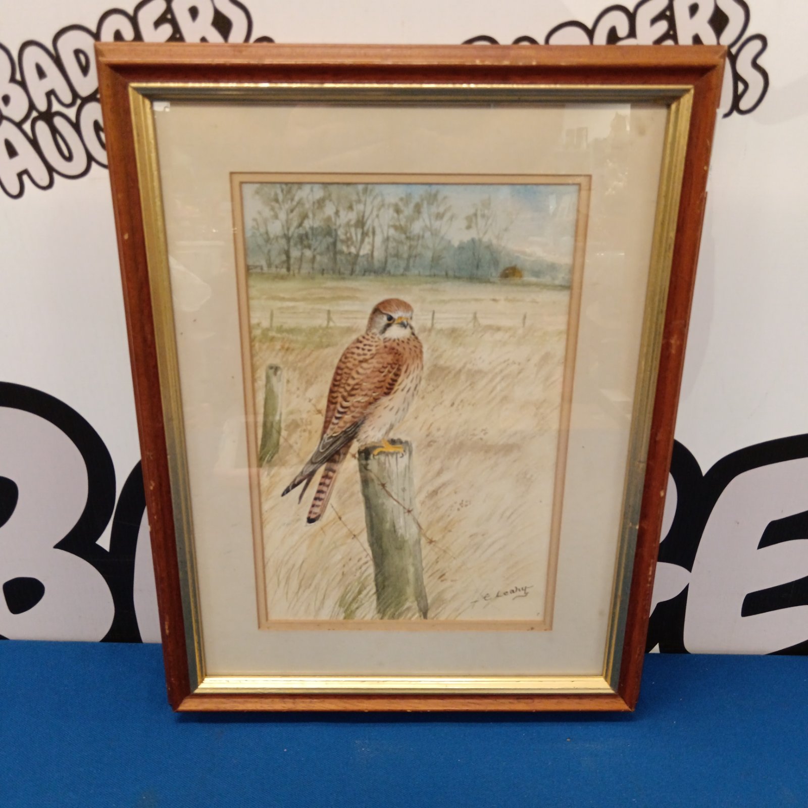 Ernest Leahy watercolour painting of a female kestrel perched on a post.