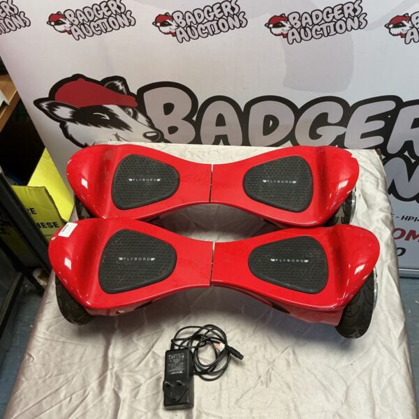 Two Flyboard Segways with charger included in the lot.
