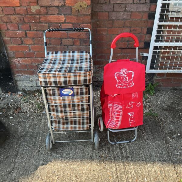 Blue and beige patterned folding shopping trolleys on wheels.