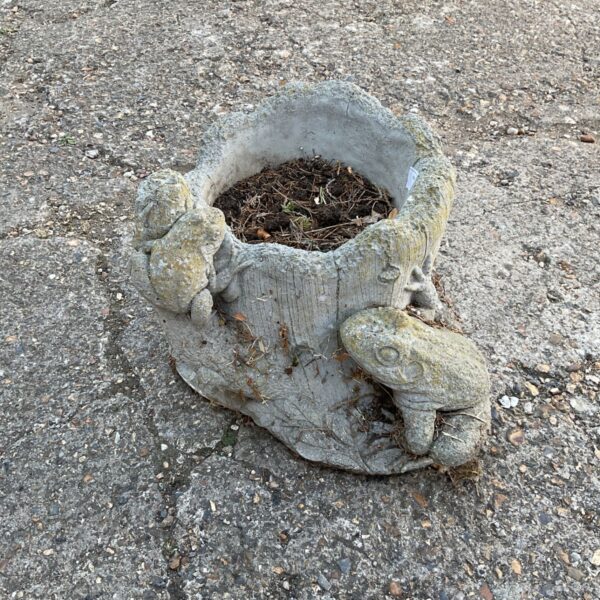 Vintage concrete frog plant pot for garden display.
