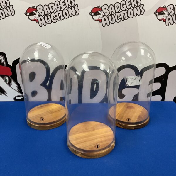 Set of three glass display domes with wooden bases.
