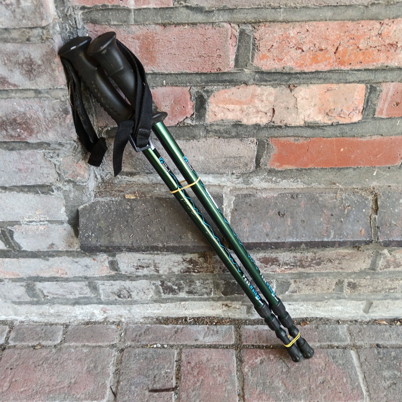 Pair of green adjustable hiking sticks for outdoor trekking.