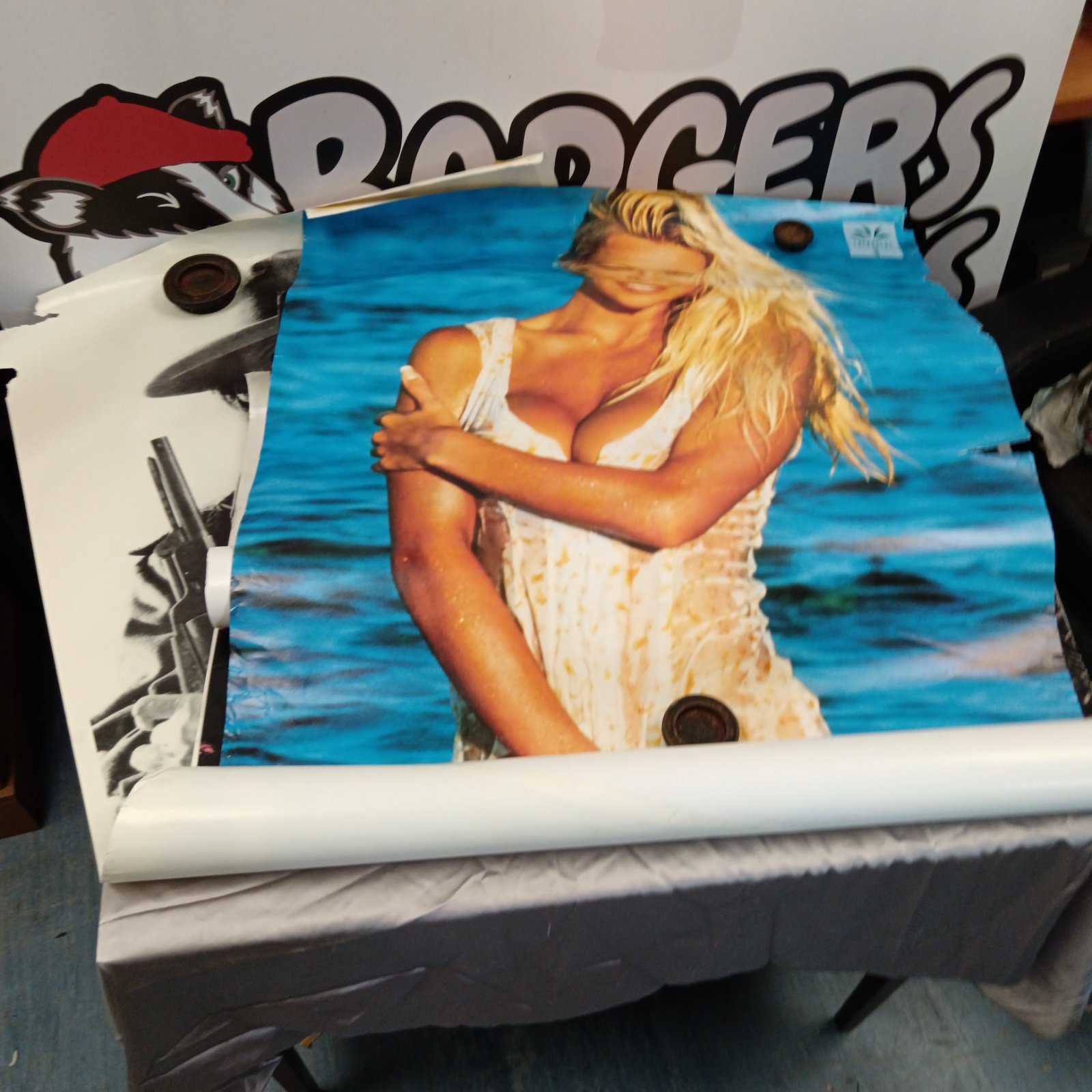 Vintage Pamela Anderson poster for collectors and fans.