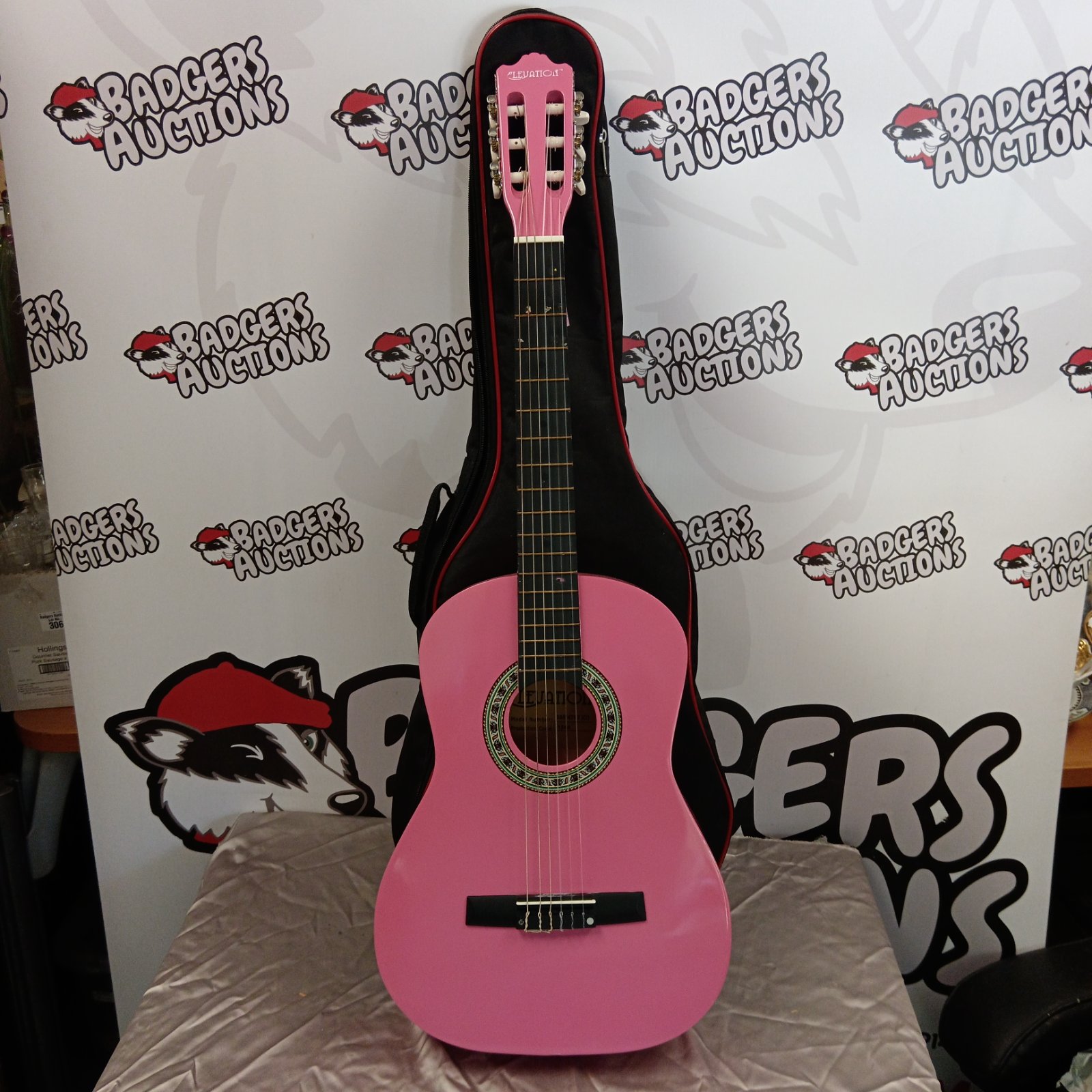 Pink Elevation child's acoustic guitar with carrying case.
