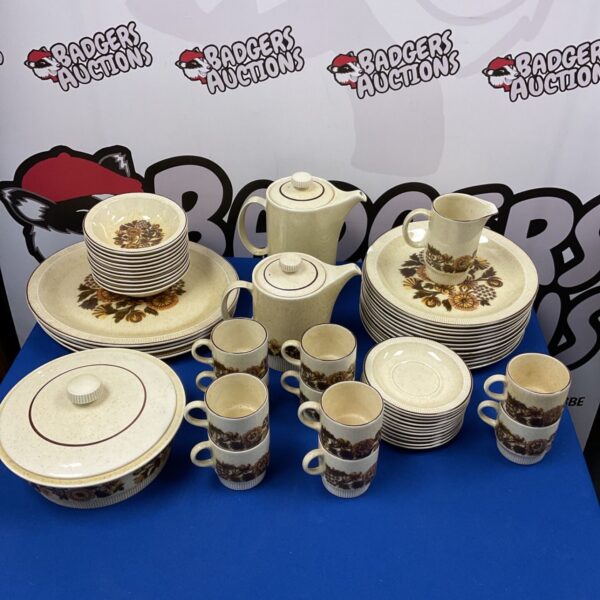 Large Poole Pottery Thistlewood dinner service set displayed on a table.