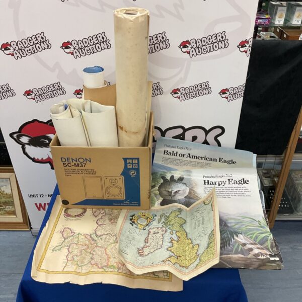 Vintage lot of protected eagle posters and maps for collectors.