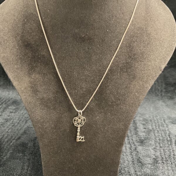 Silver 21 key necklace on a display, elegant snakelink chain.