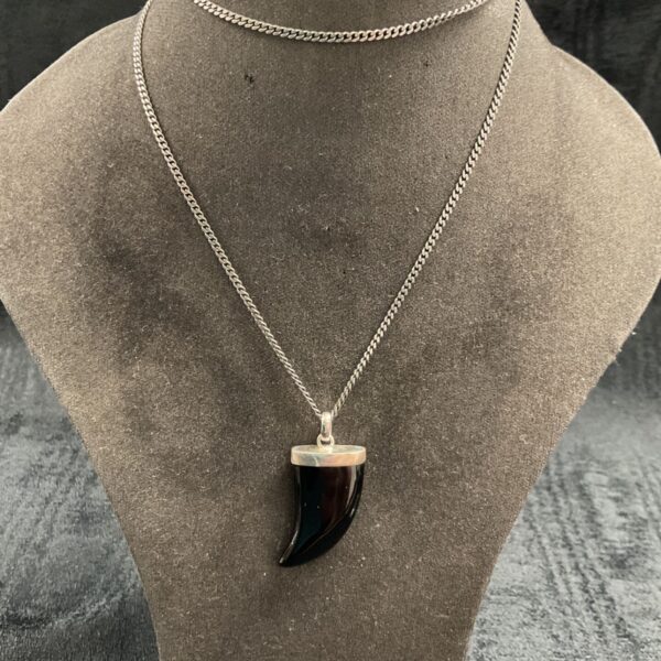 Close-up of silver necklace with black claw pendant.