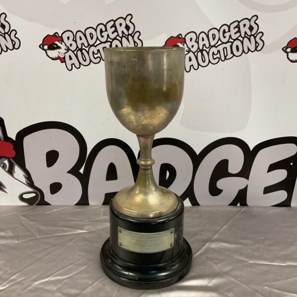 Vintage Slush Puppy Swimming League trophy, brass cup and black base.