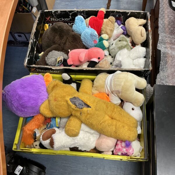 Large collection of soft toys in a cardboard box.