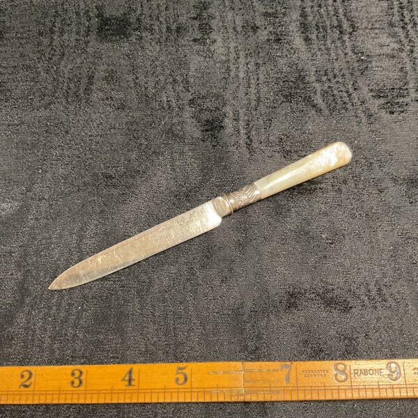 Antique Victorian fruit knife by Lee and Wigfall with silver engraving.