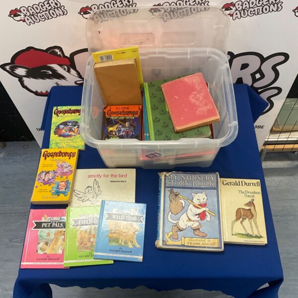 Vintage book lot featuring Goosebumps and other children's books.