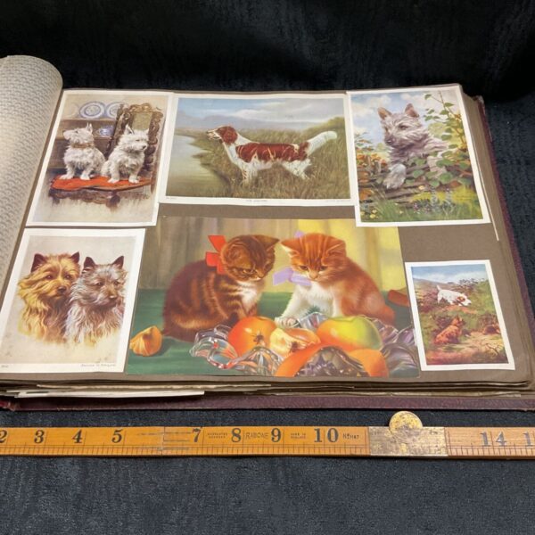 Vintage card album page with animal themed collectible cards.