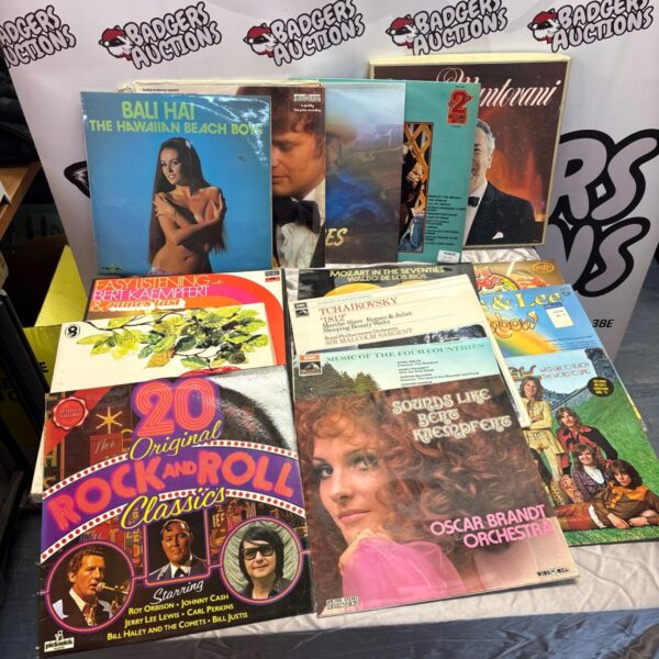 Bundle of vintage vinyl records including Mozart and Beri Karisma.