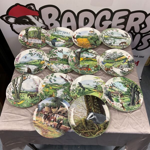 Collection of Wedgwood and Colin Newman collectors plates with scenic designs.