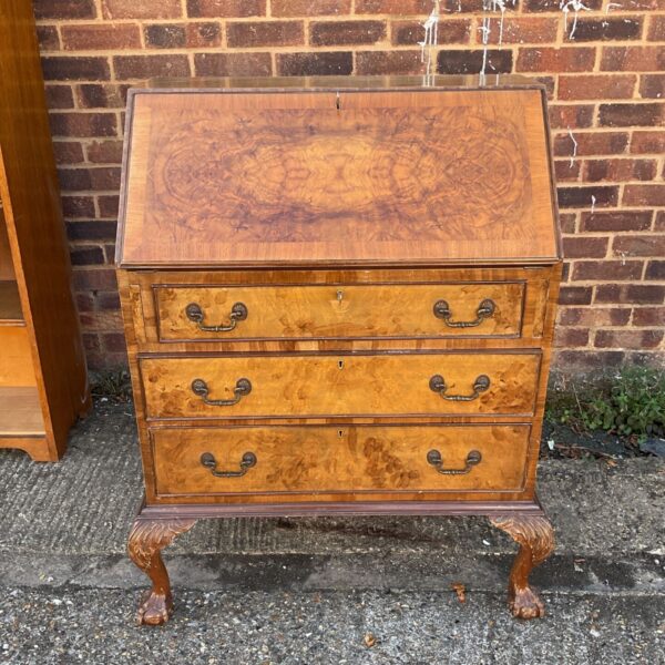 Antique burr walnut bureau with drop front and cabriole legs.