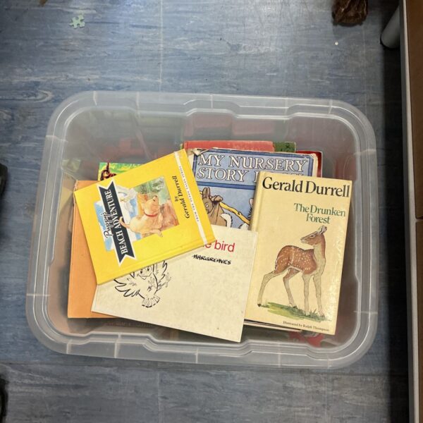 Lot of assorted children's books including a nursery rhyme book.