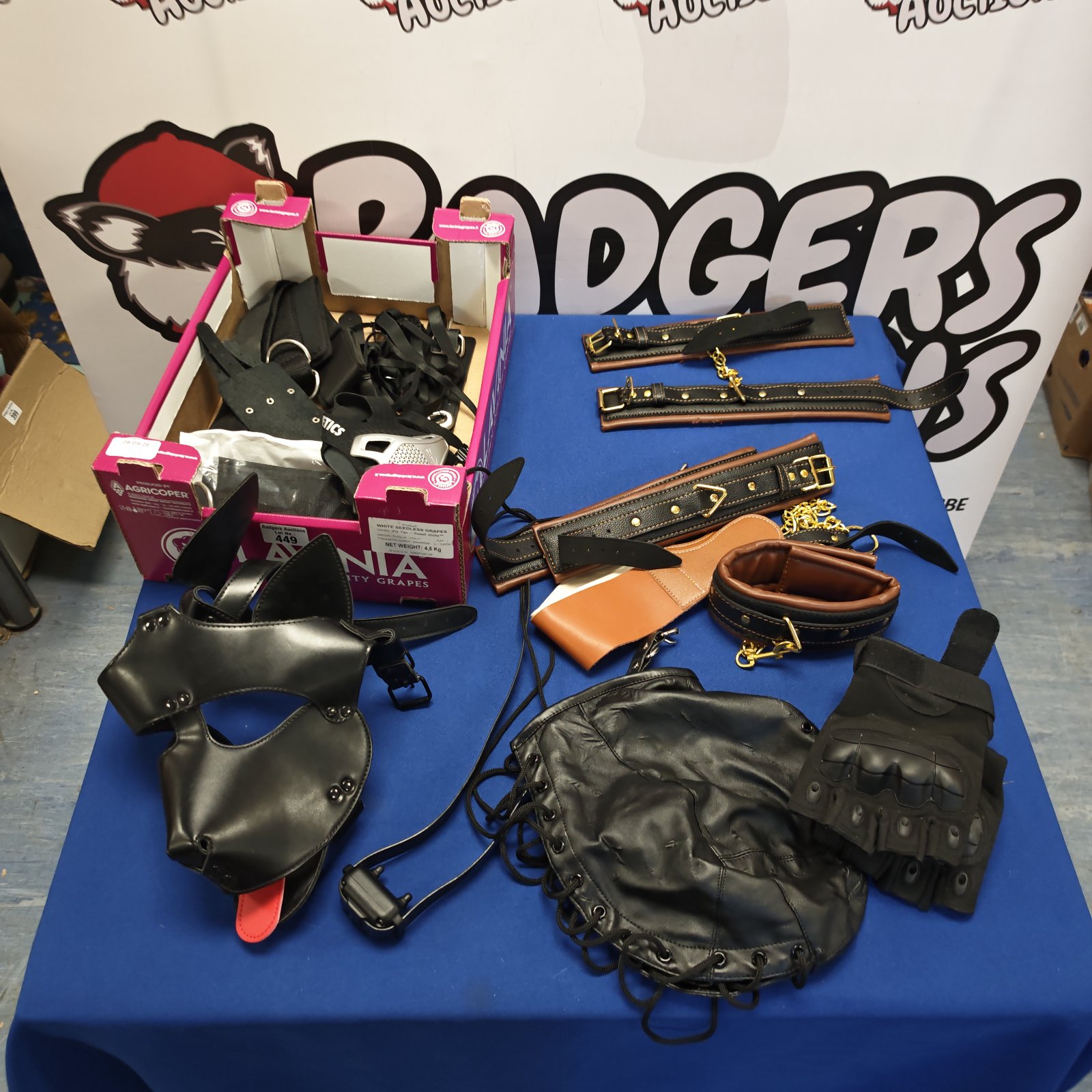 Bondage kit with leather straps, dog mask, and collars.