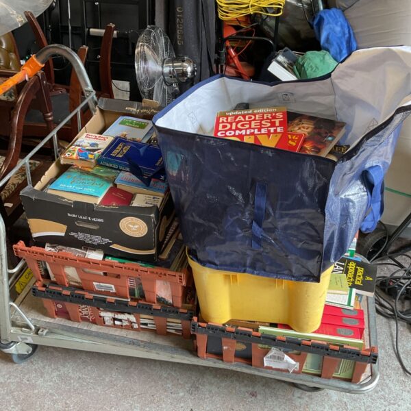 Large lot of assorted books in crates and a bag.