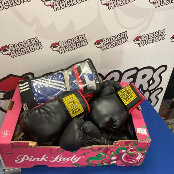 Collection of boxing gloves including Everlast training gloves.