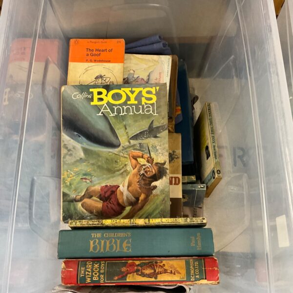 Vintage Collins Boys Annual cover illustration, colourful and collectable.