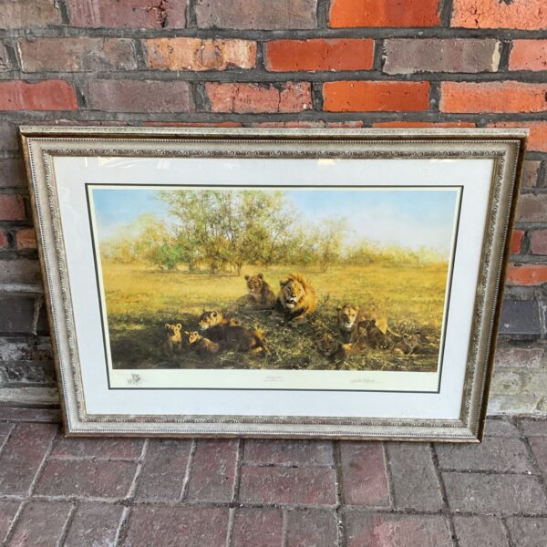 Framed David Shepherd lion print, "First Light at Savuti", wildlife art.