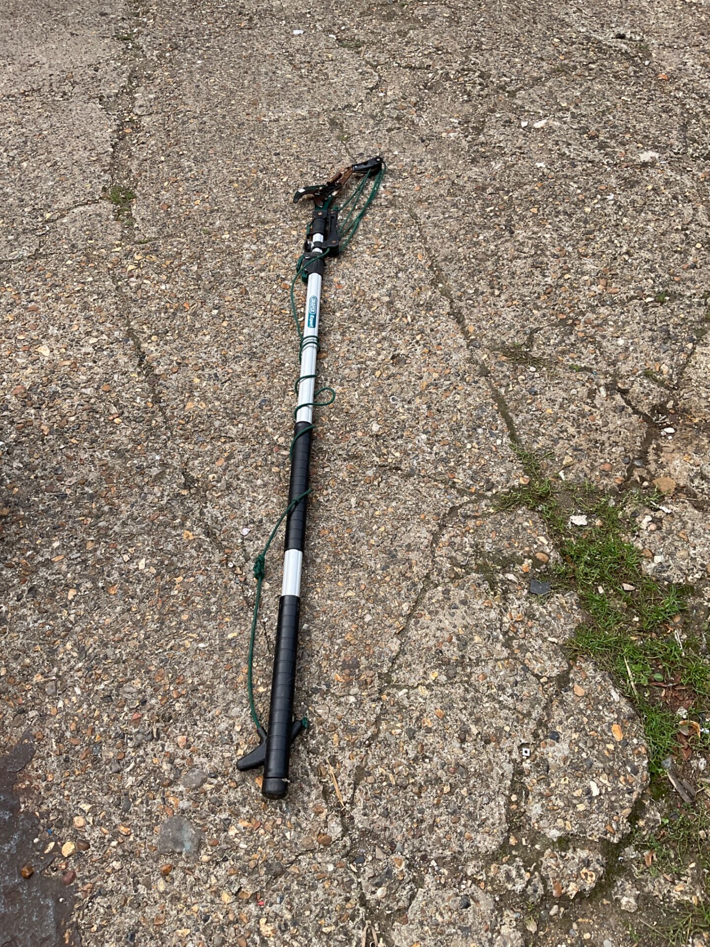 1251 Draper Expert tree lopper