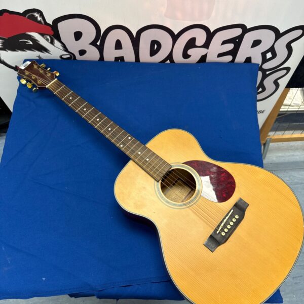Freshman AAAP0925 acoustic guitar in detailed view.