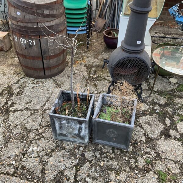 Two dark metal cube garden planters in a garden setting.