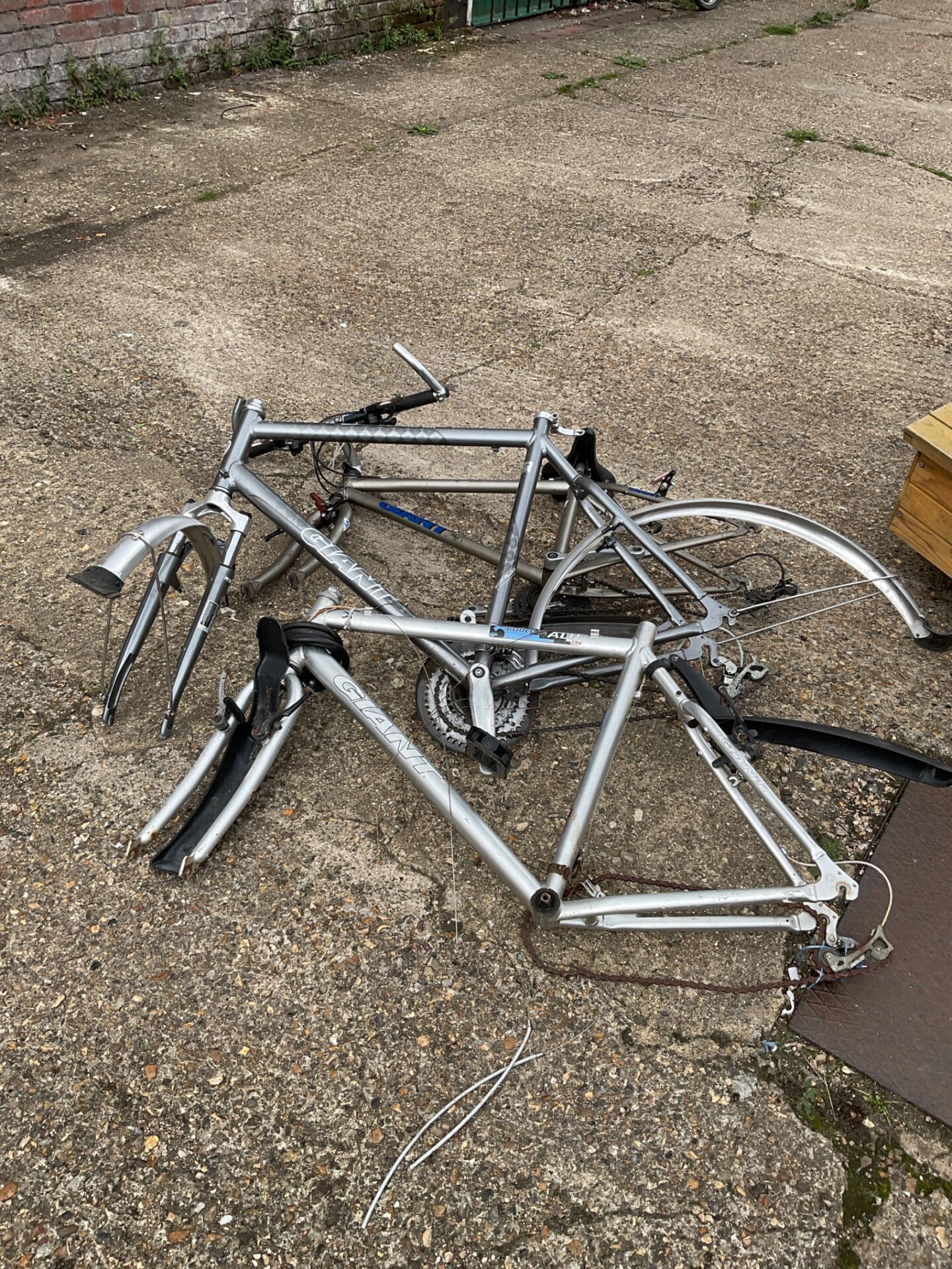1341 Three giant bike frames