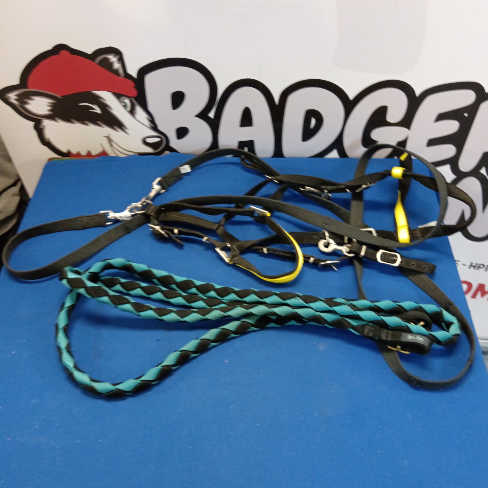 Blue horse bridle and lead rope set for equestrian use.