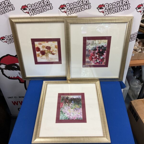 Set of 3 framed still life prints
