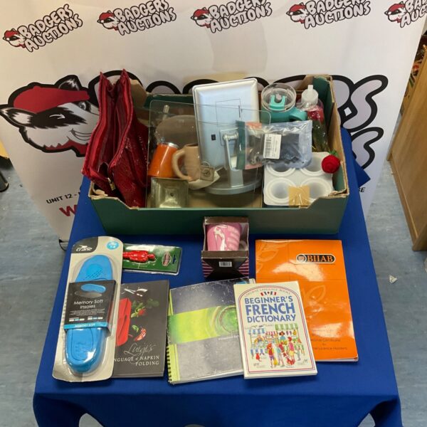 Mixed lot of books, handbag, and household items for auction.