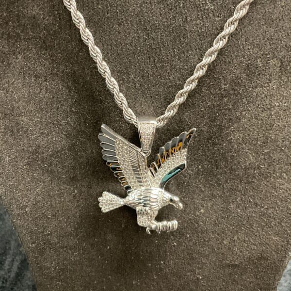 Iced out mozenite eagle pendant with 24 inch chain.