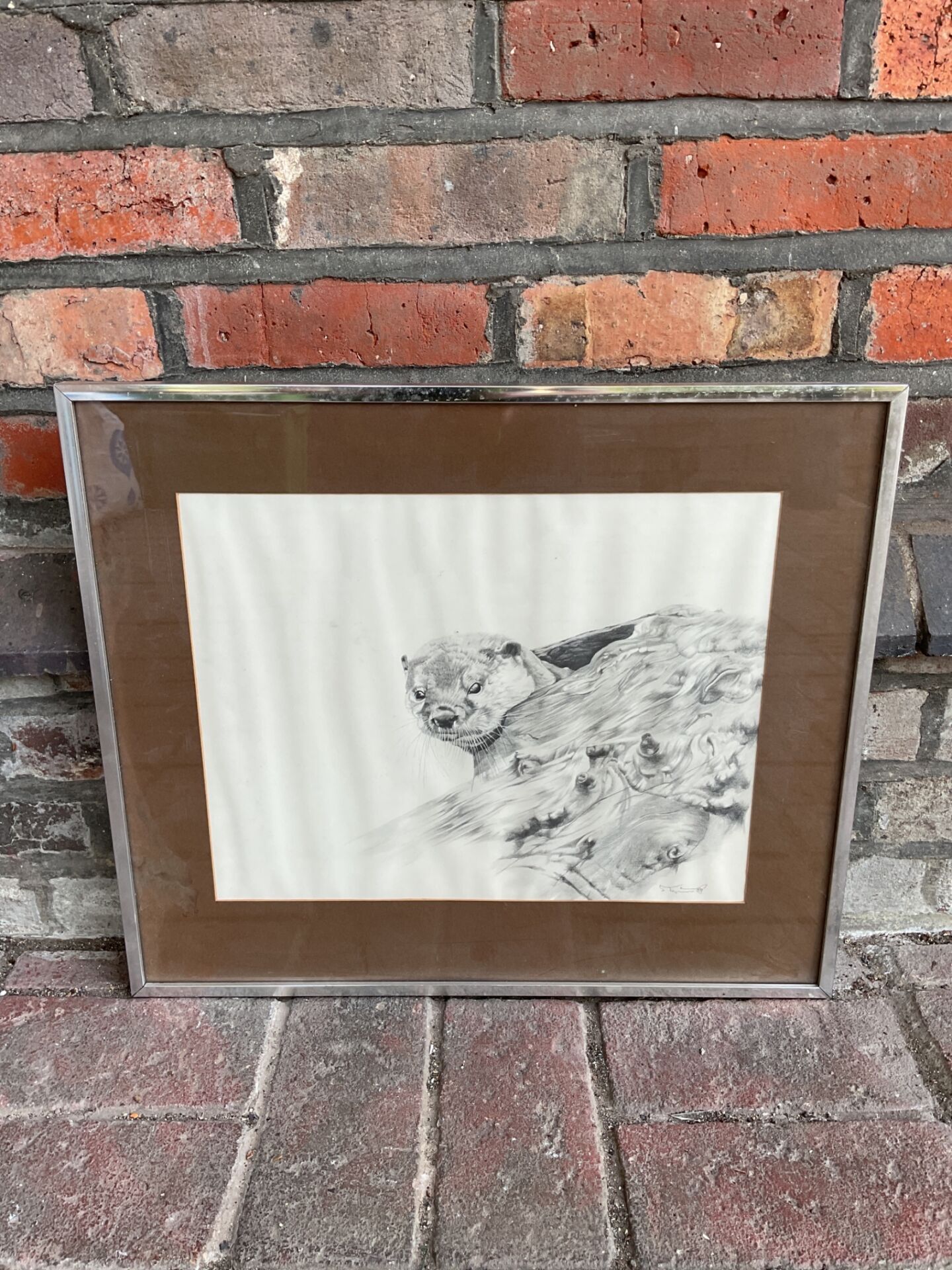 766 Original pencil drawing of a stout, signed by artist