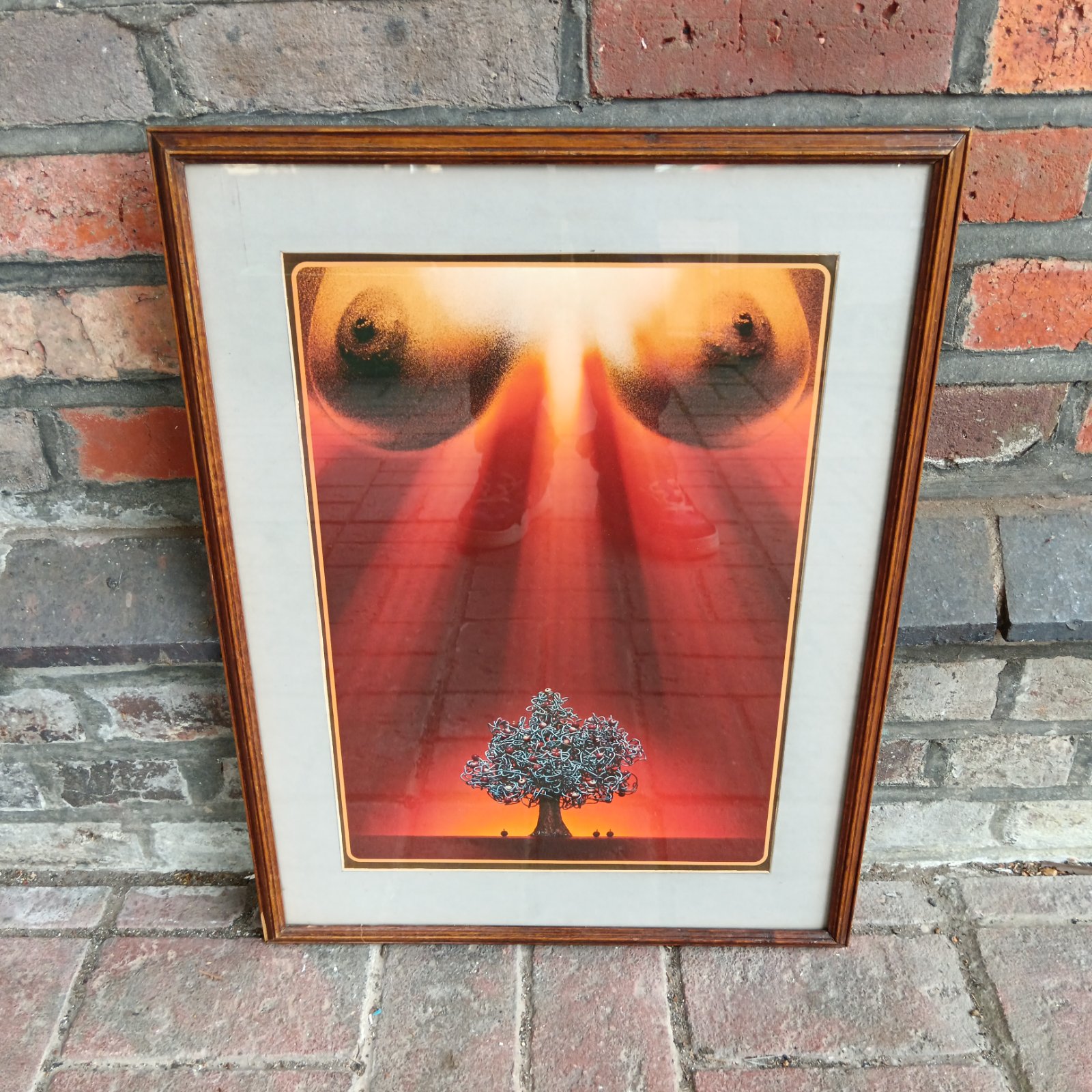 Framed Sam Haskins pop art poster with vibrant colours and graphic design.