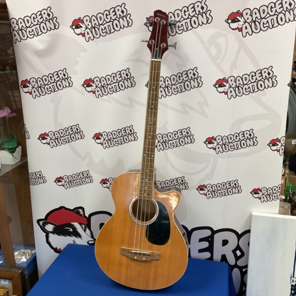 Front view of a vintage Spider acoustic bass guitar.