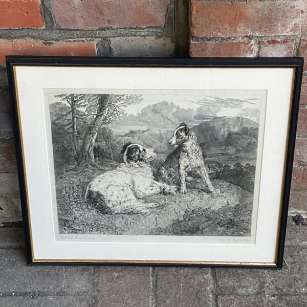 Framed Victorian engraving of two dogs by Landseer and Phelps.