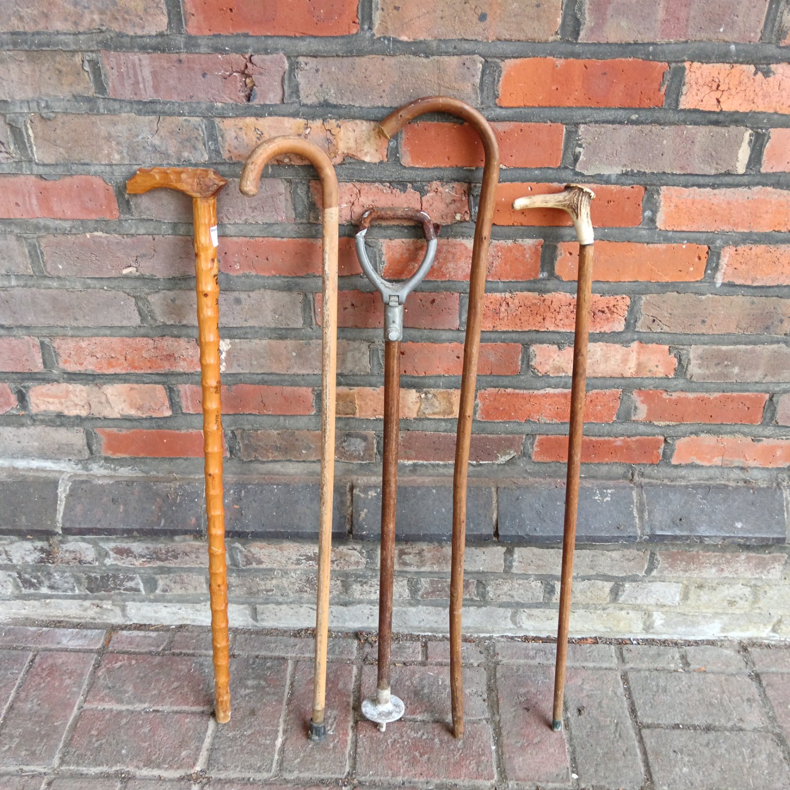 Bundle of three vintage wooden walking sticks with unique handles.