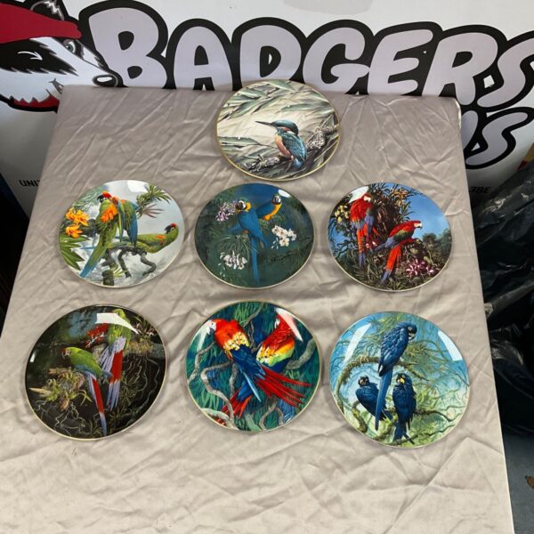 Wedgwood Paradise plate featuring a scarlet macaw bird design.