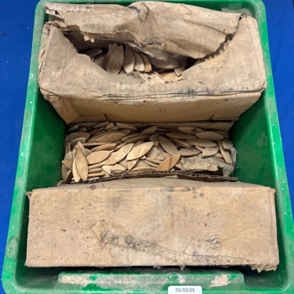 Large lot of woodworking biscuits for furniture joinery.
