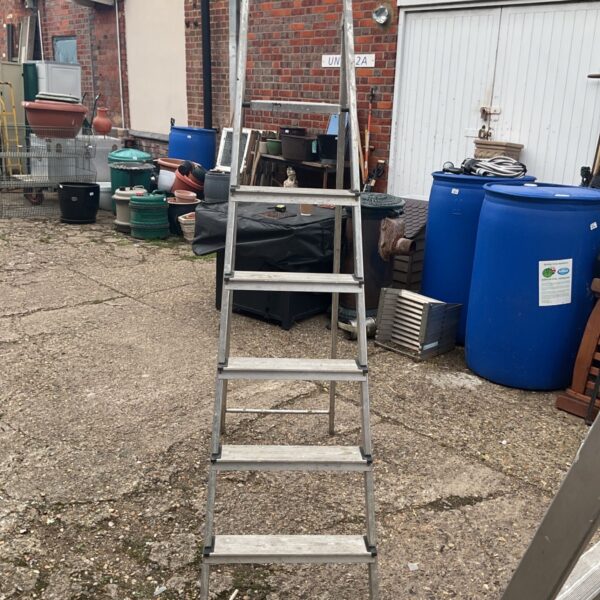 Aluminium step ladder in a garden setting, useful for DIY tasks.